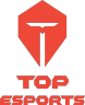 Top Esports