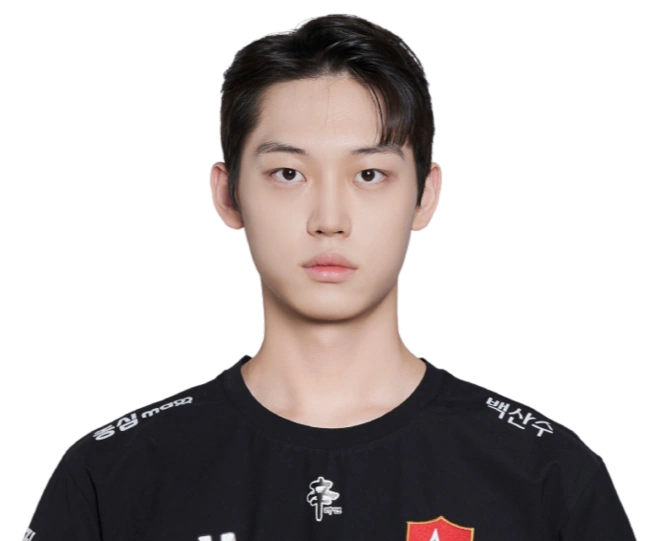 Sponge의 사진